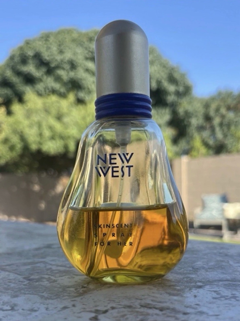 New West by Aramis vintage